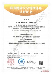 職業(yè)健康管理體系中文