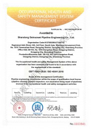 職業(yè)健康英文